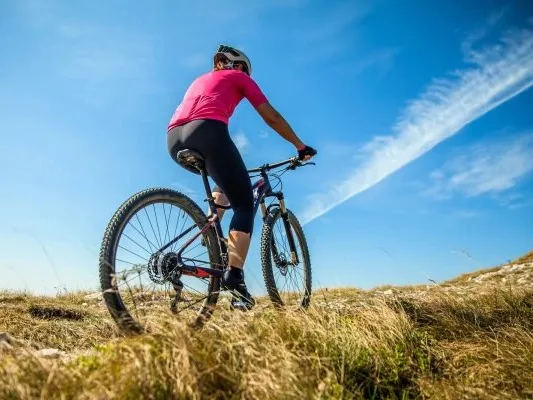 Ciclista de montaña por un camino entre campos