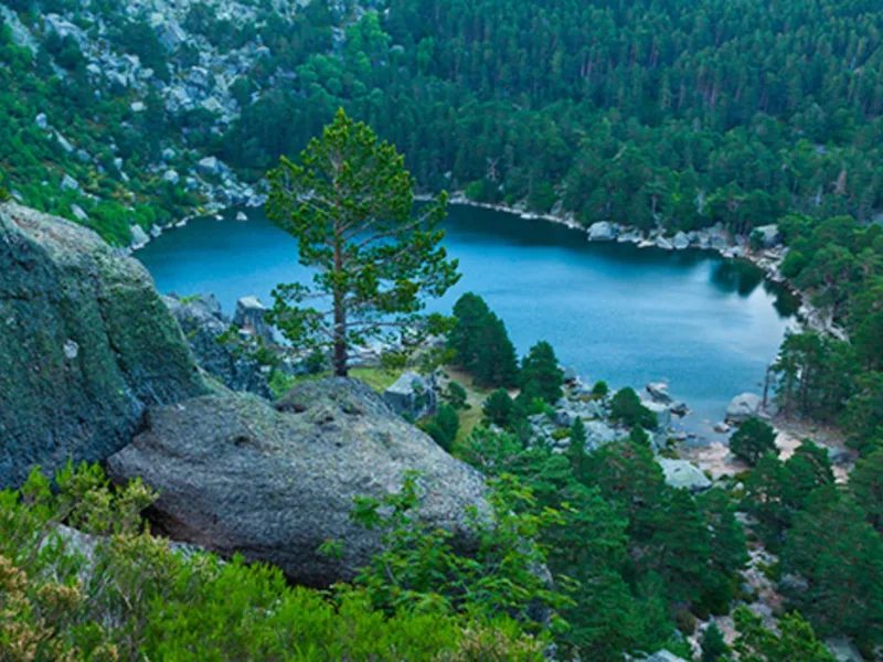Laguna Negra rodeada de pinares